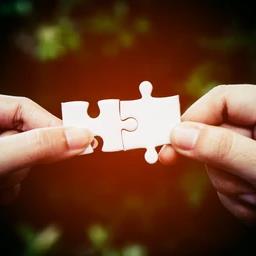 Wooden Puzzle